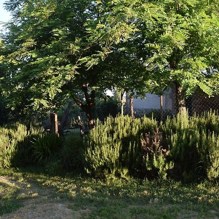 Il Saragio Villa Abbadia di Montepulciano Luaran gambar