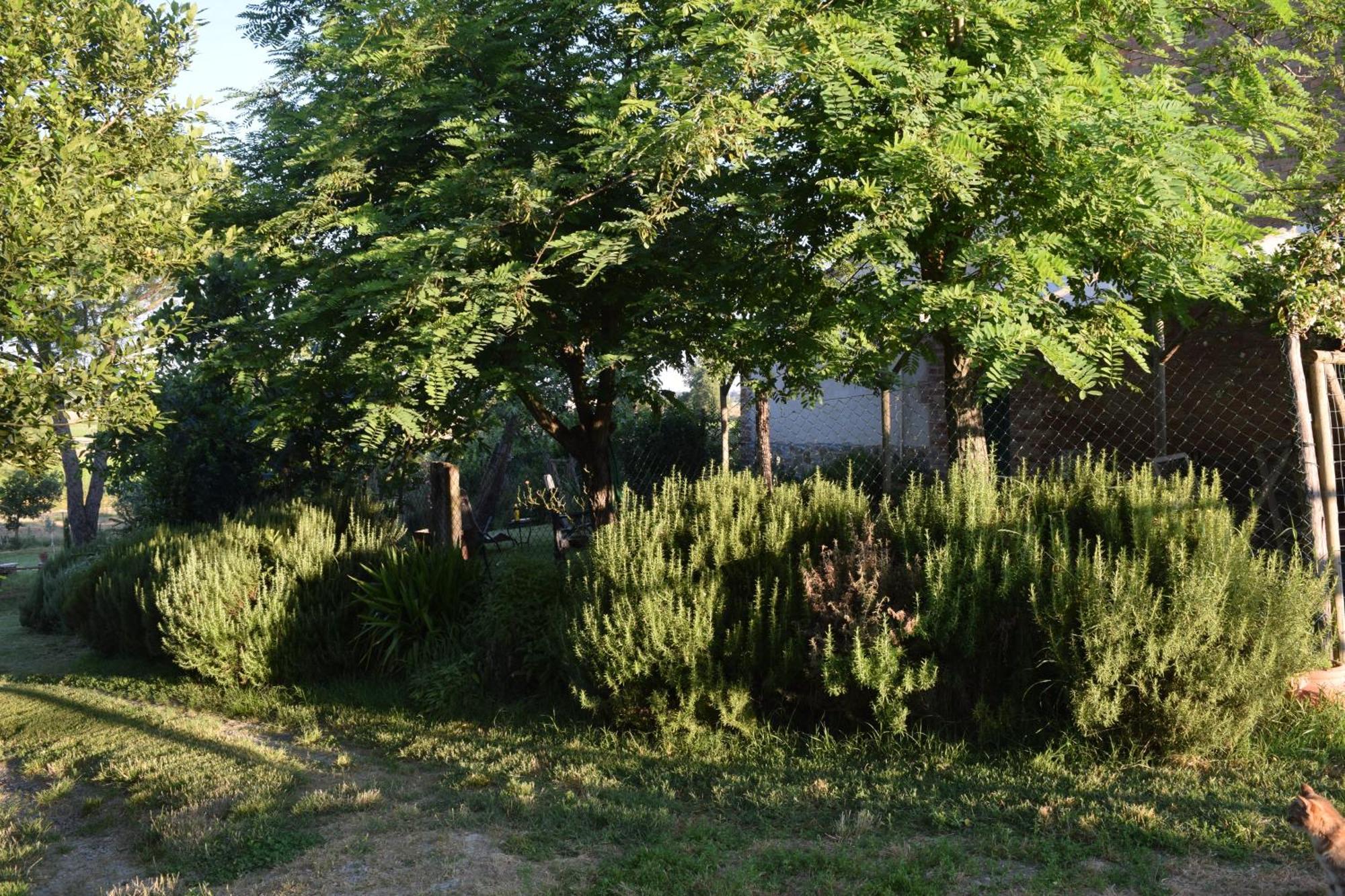 Il Saragio Villa Abbadia di Montepulciano Luaran gambar