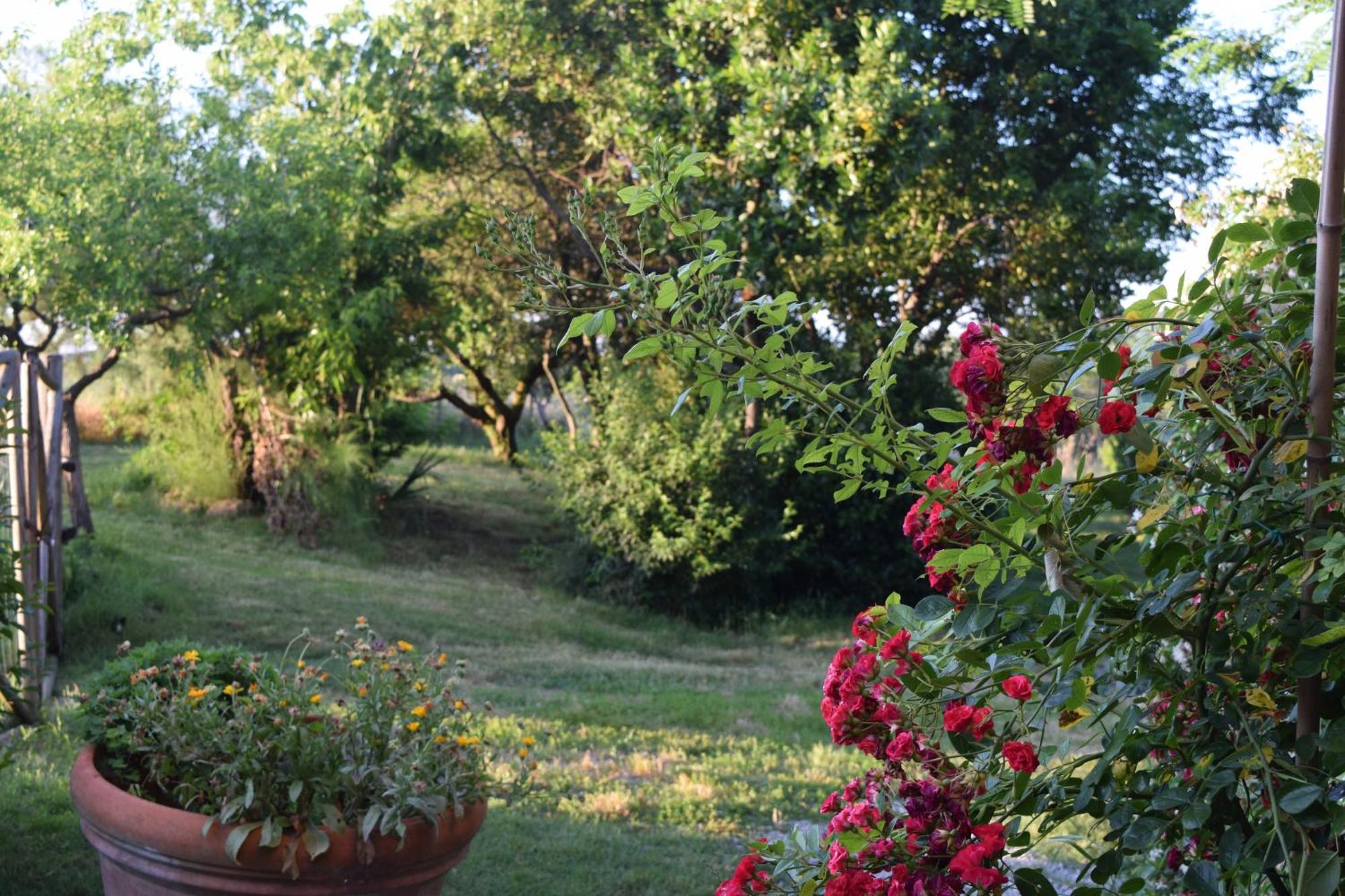 Il Saragio Villa Abbadia di Montepulciano Luaran gambar