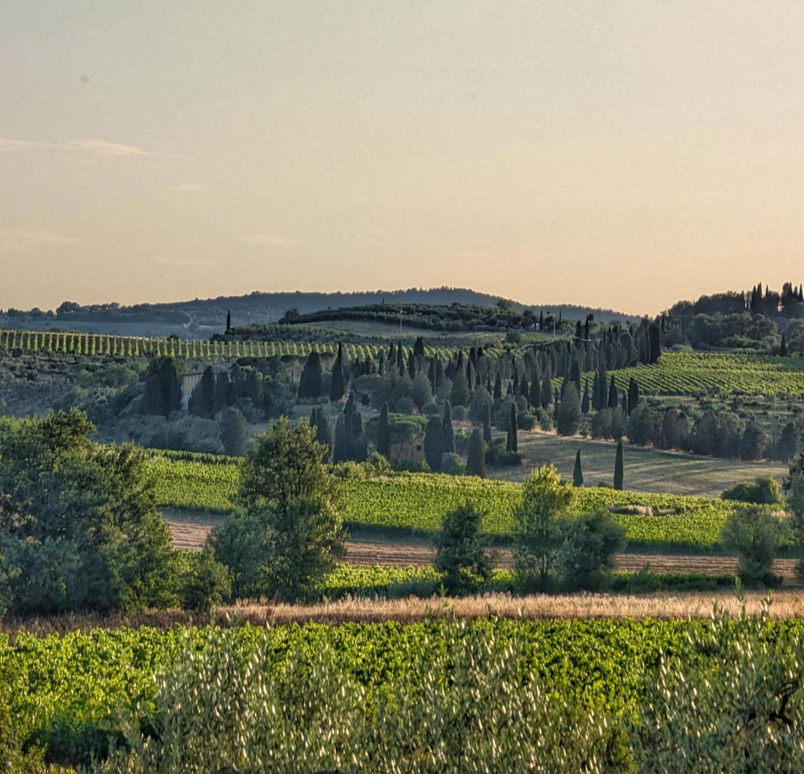 Il Saragio Villa Abbadia di Montepulciano Luaran gambar