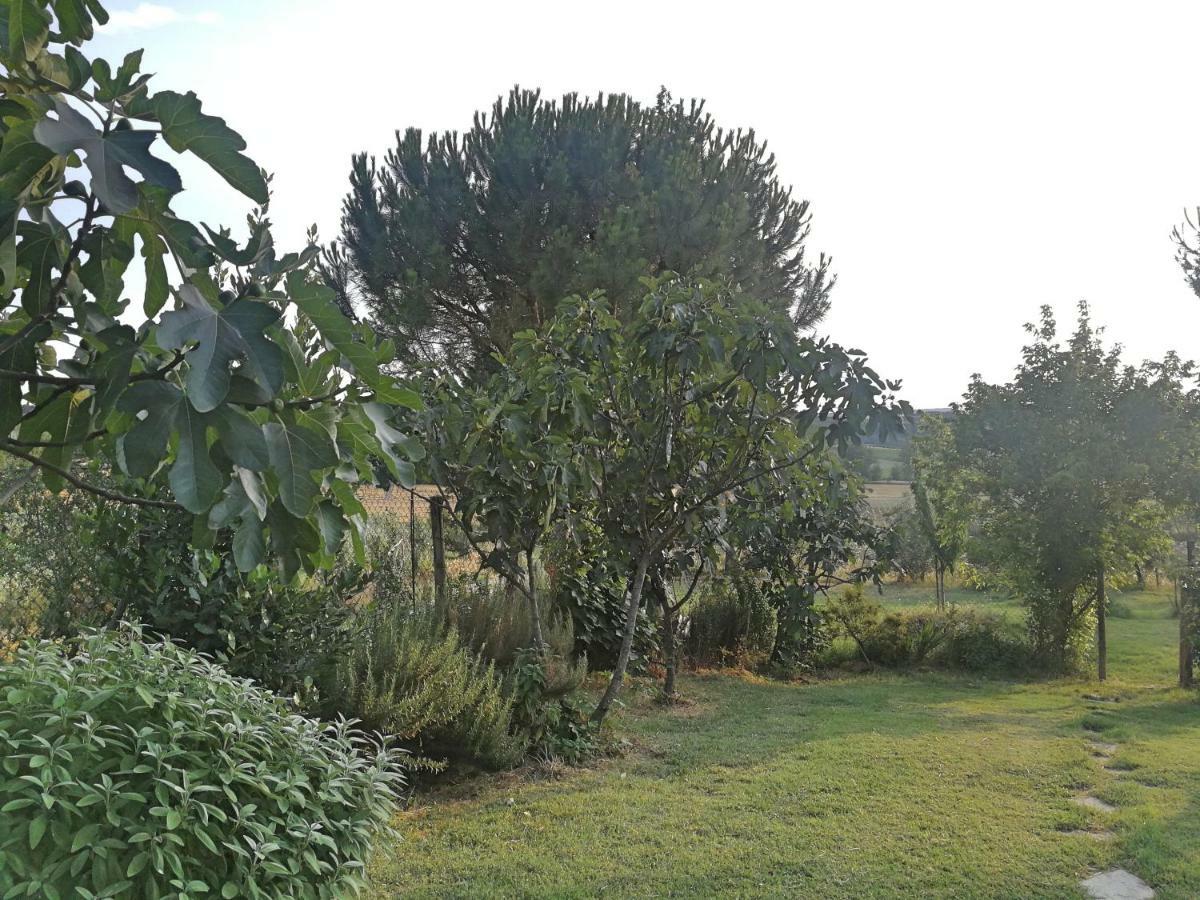 Il Saragio Villa Abbadia di Montepulciano Luaran gambar